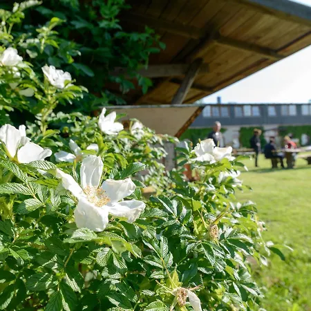 Beautiful In Germany With Sauna Kägsdorf
